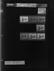 Rose High PTA (8 Negatives), September 15-19, 1967 [Sleeve 41, Folder d, Box 43]